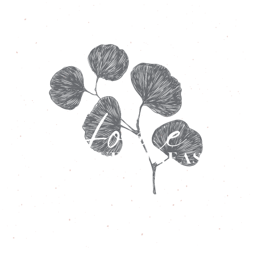 Home Haven Treasures 